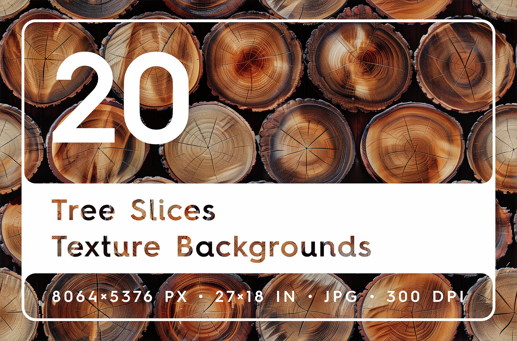 20 Tree Slices Texture Backgrounds 1