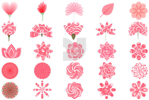 Flowers Flowers