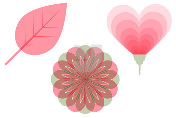 Flowers Flowers