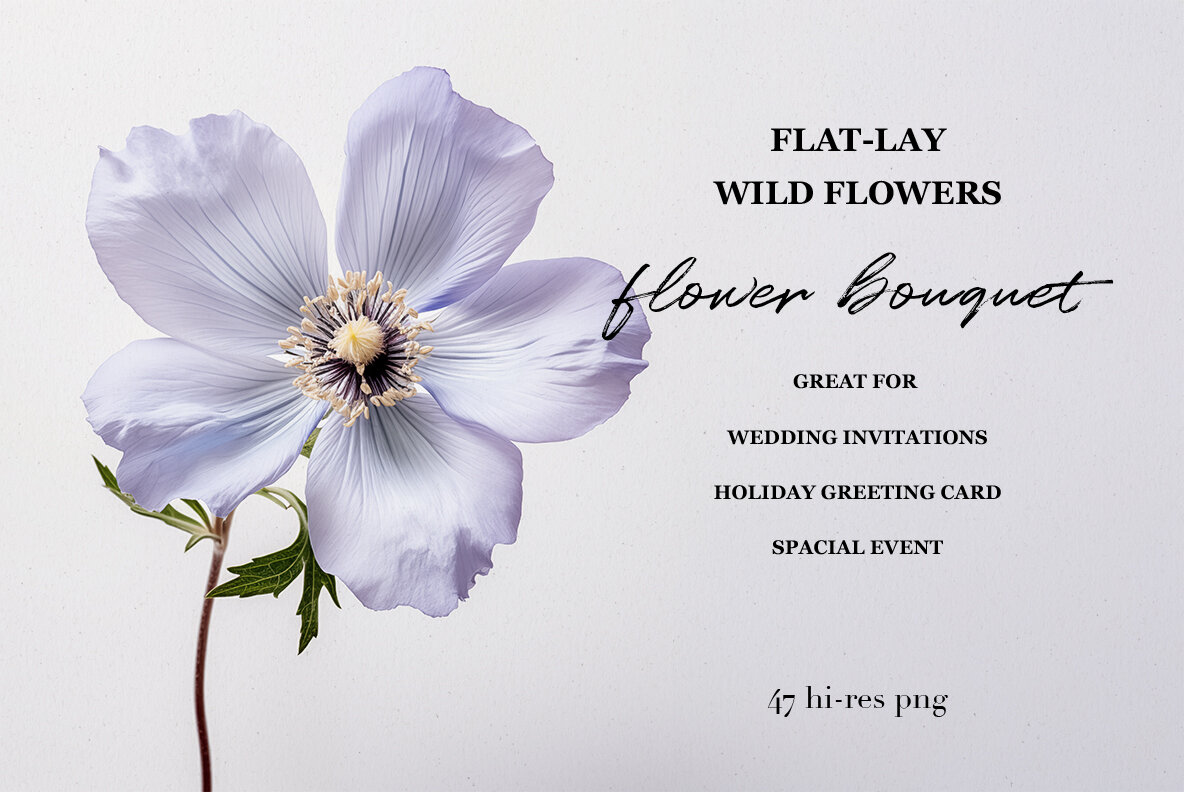 Flat lay wild flowers 4