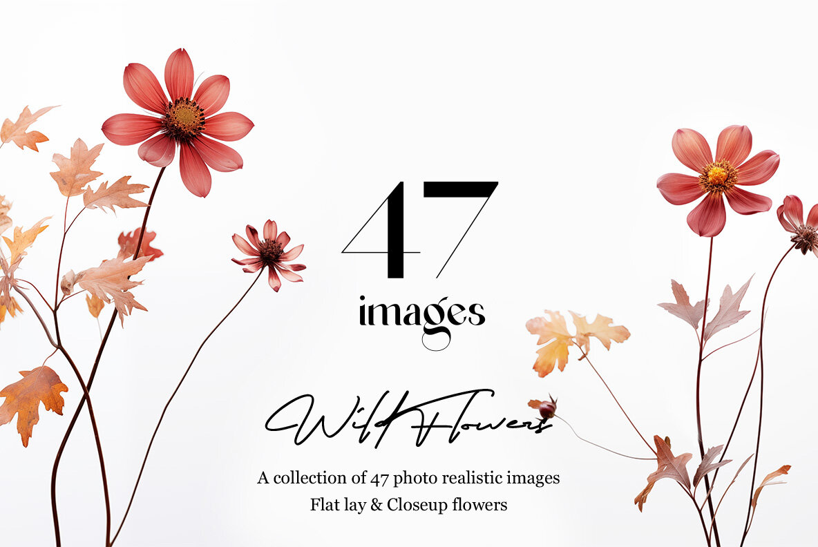 Flat lay wild flowers 6