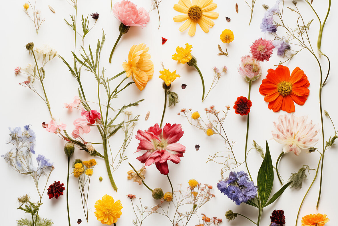 Flat lay wild flowers 12