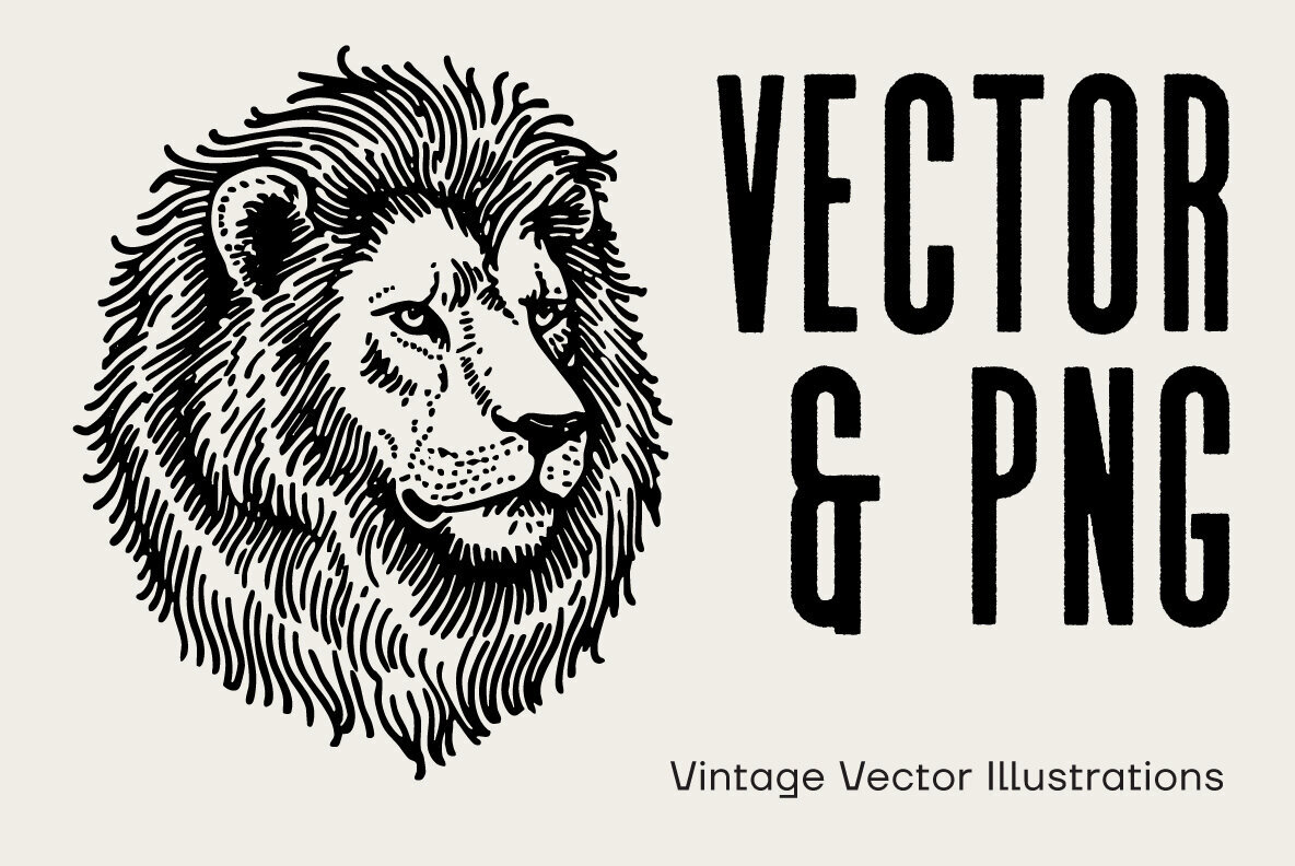 Vintage Illustrations 2