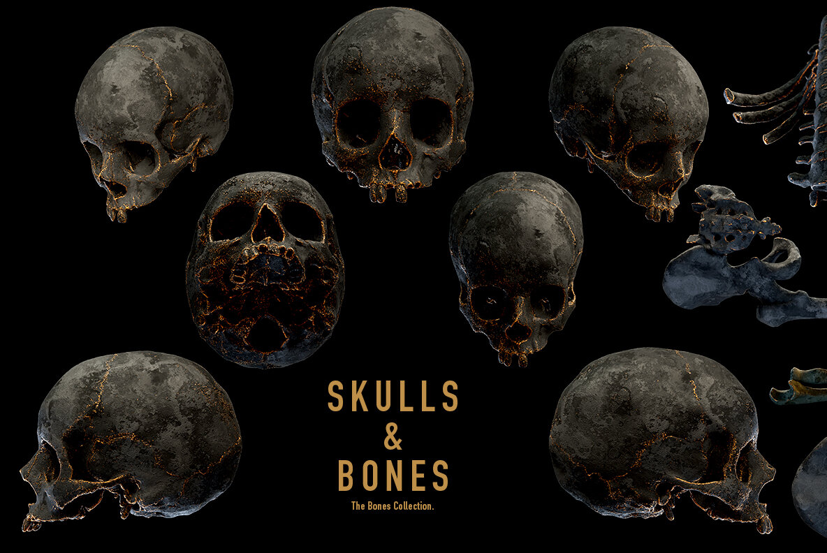 Skulls and Bones 4