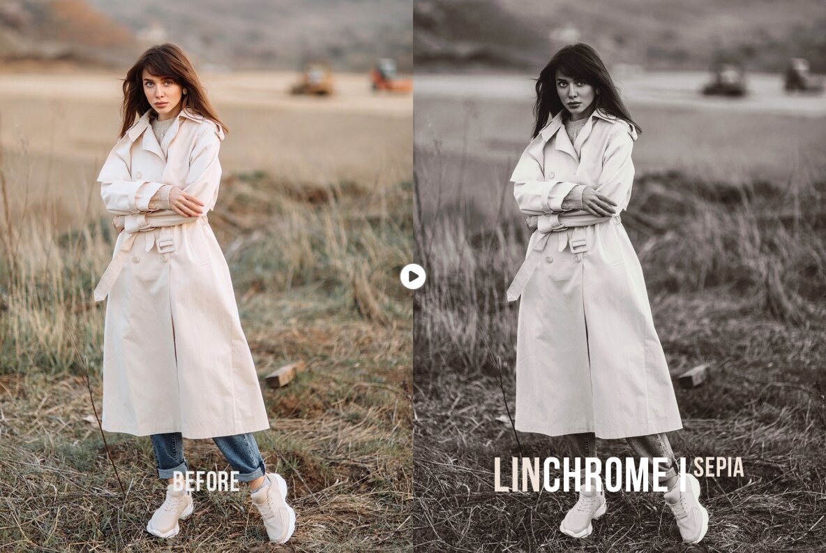 Linchrome BW Photoshop Action and LUT 9