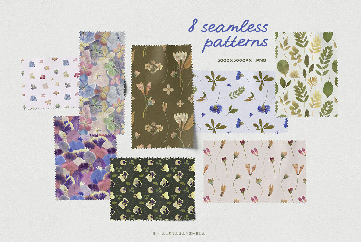 Summer Memories Dried Herbarium Flowers 6