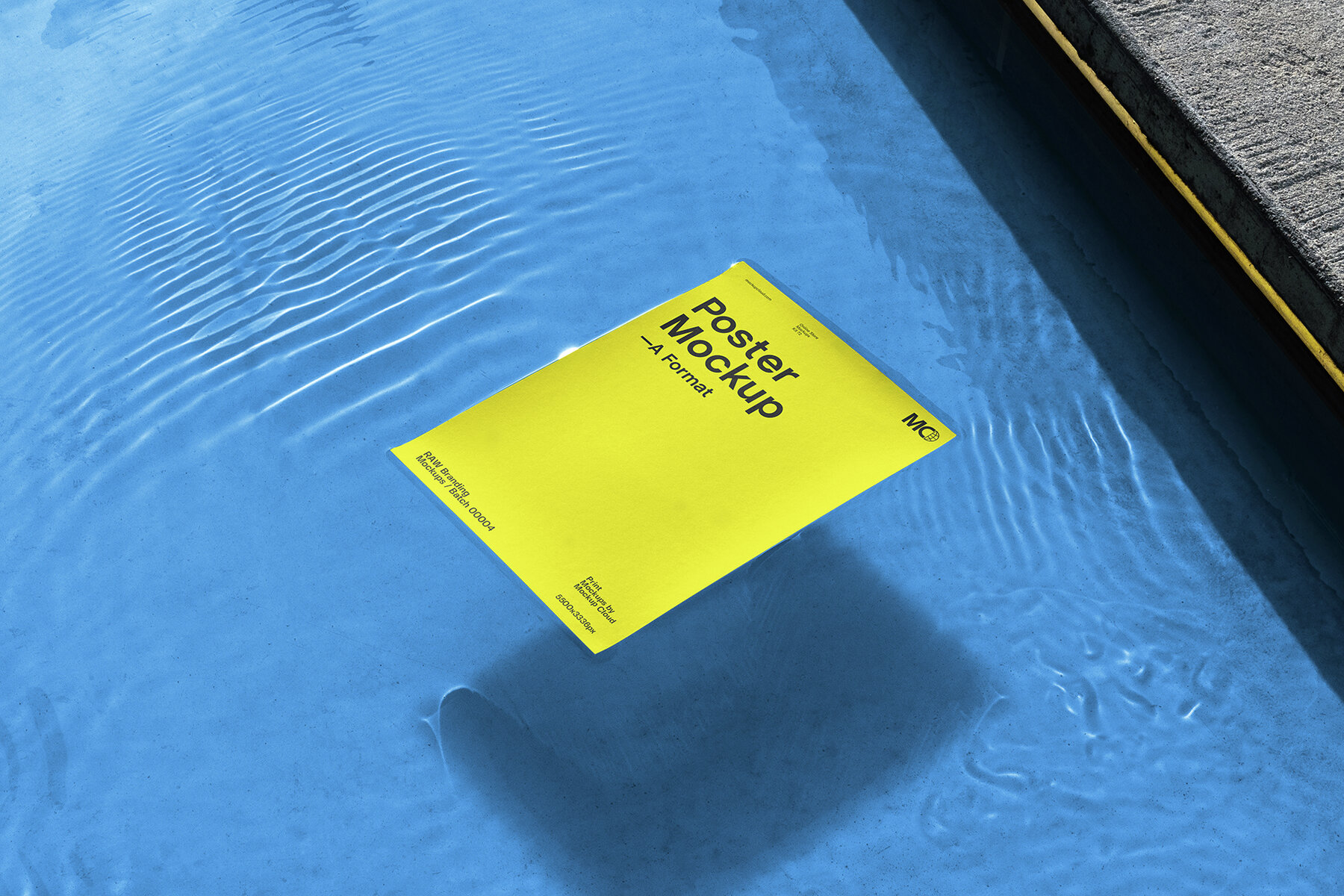 Poster Mockups   RAW Series 5