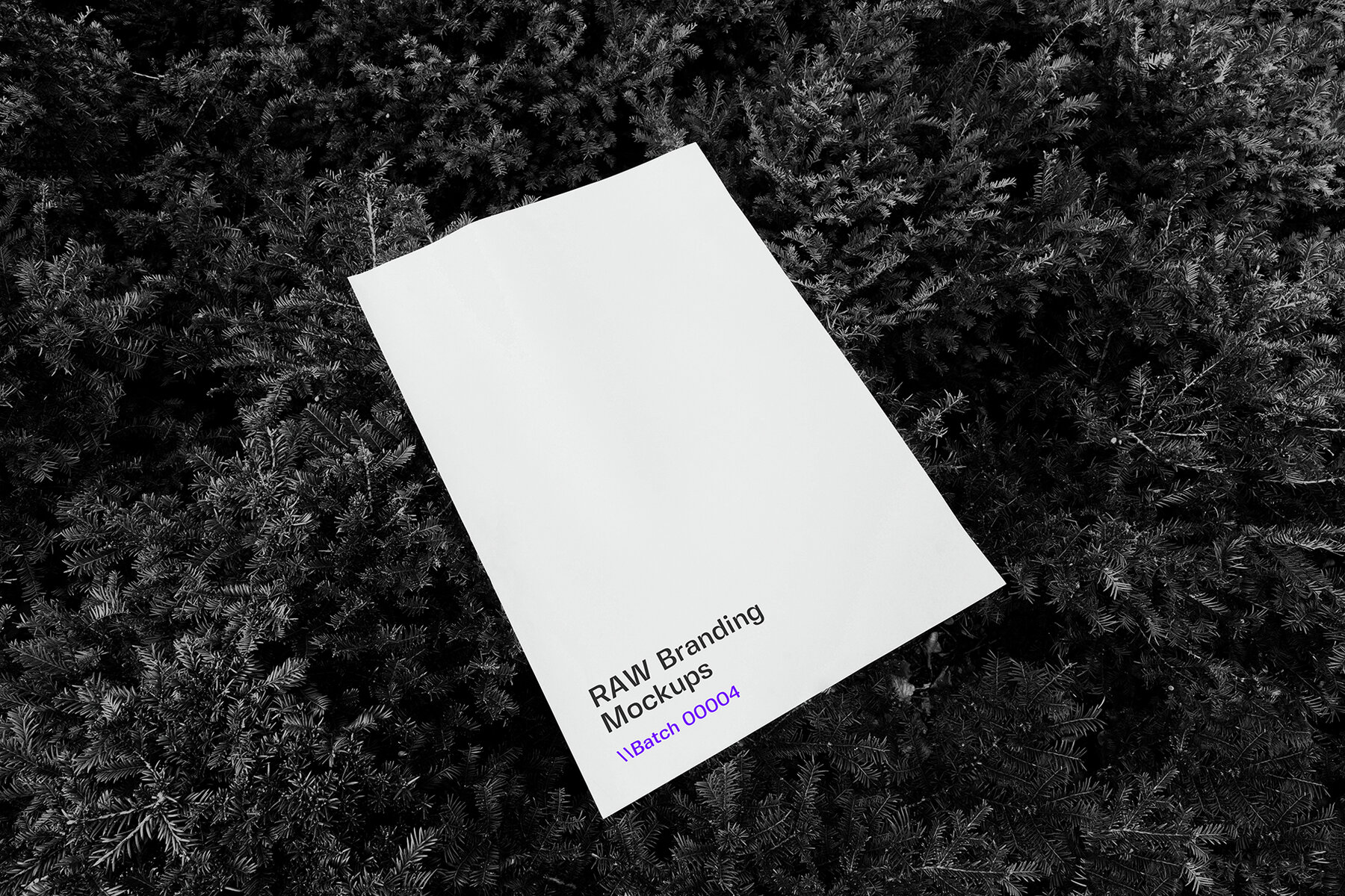 Poster Mockups   RAW Series 6