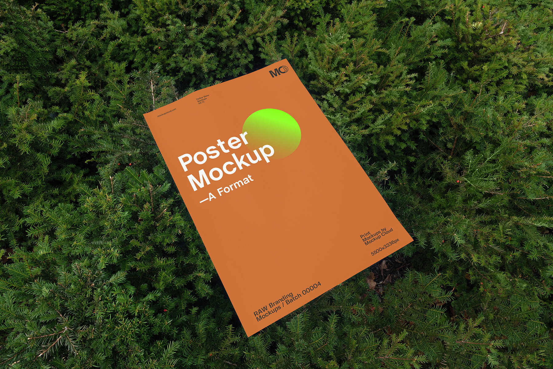 Poster Mockups   RAW Series 7