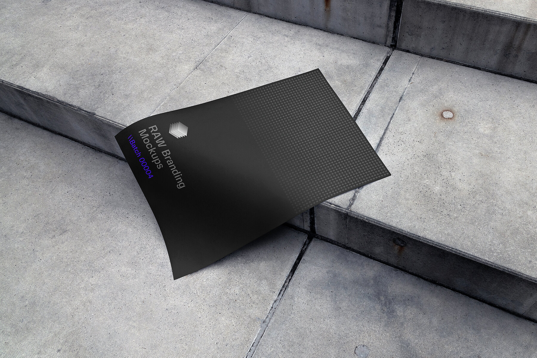 Poster Mockups   RAW Series 12