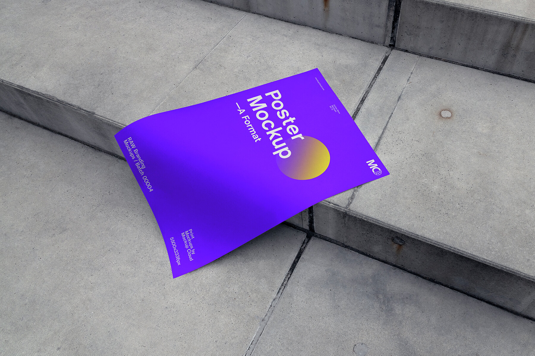 Poster Mockups   RAW Series 13