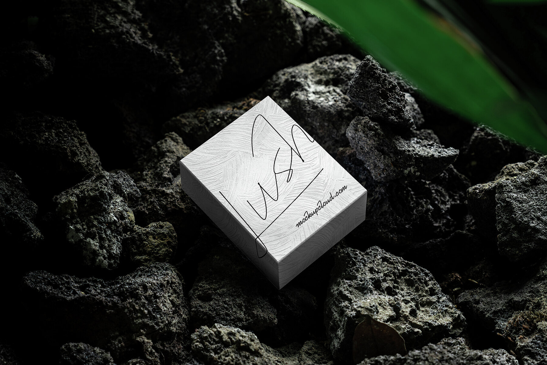 Branding Mockups Lush Series 01 3