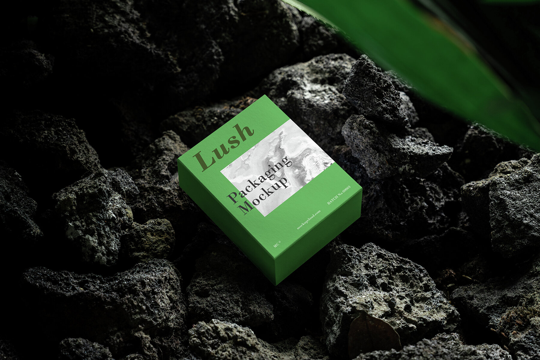 Branding Mockups Lush Series 01 4