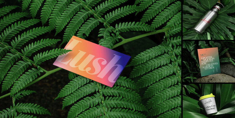 Branding Mockups Lush Series 02