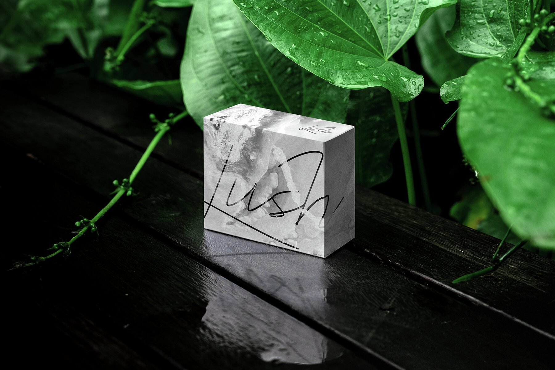 Branding Mockups Lush Series 02 4