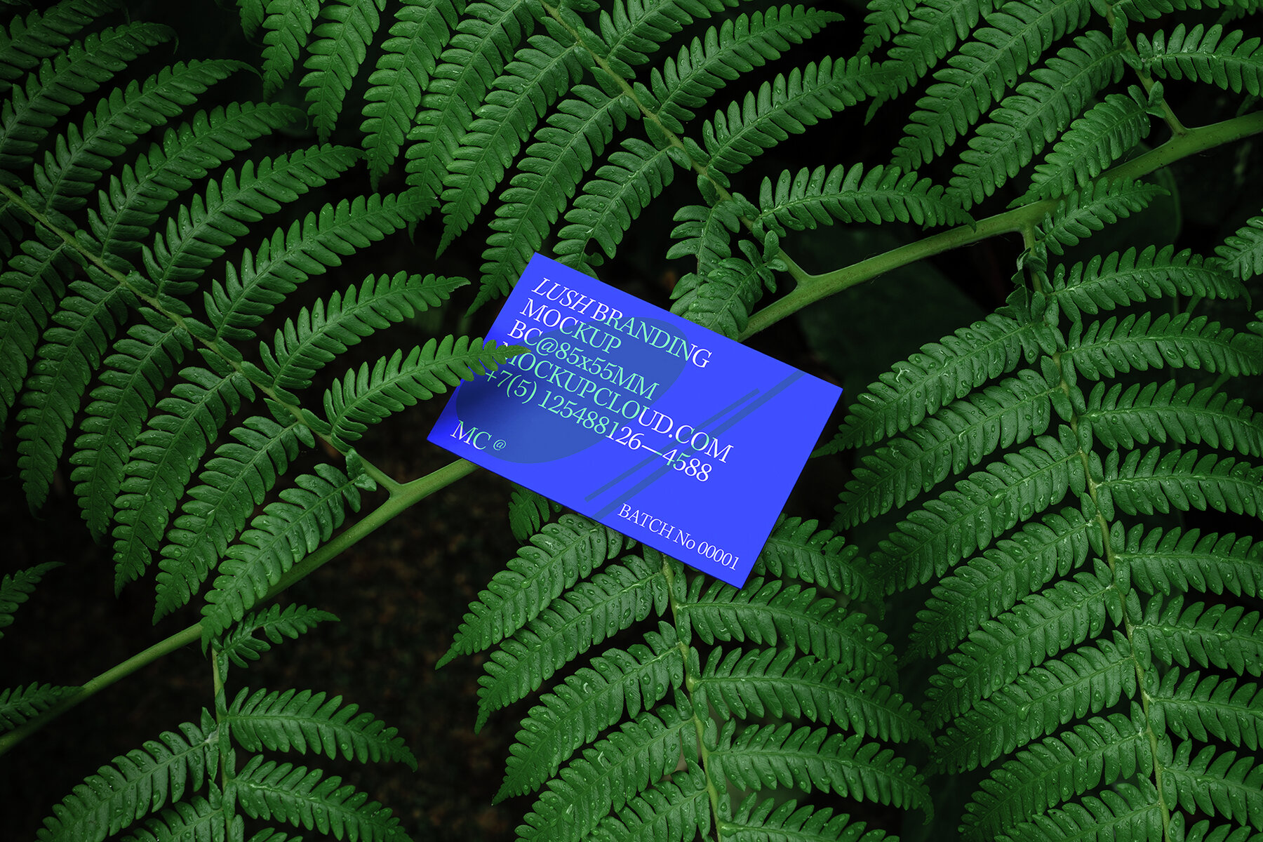 Branding Mockups Lush Series 02 7