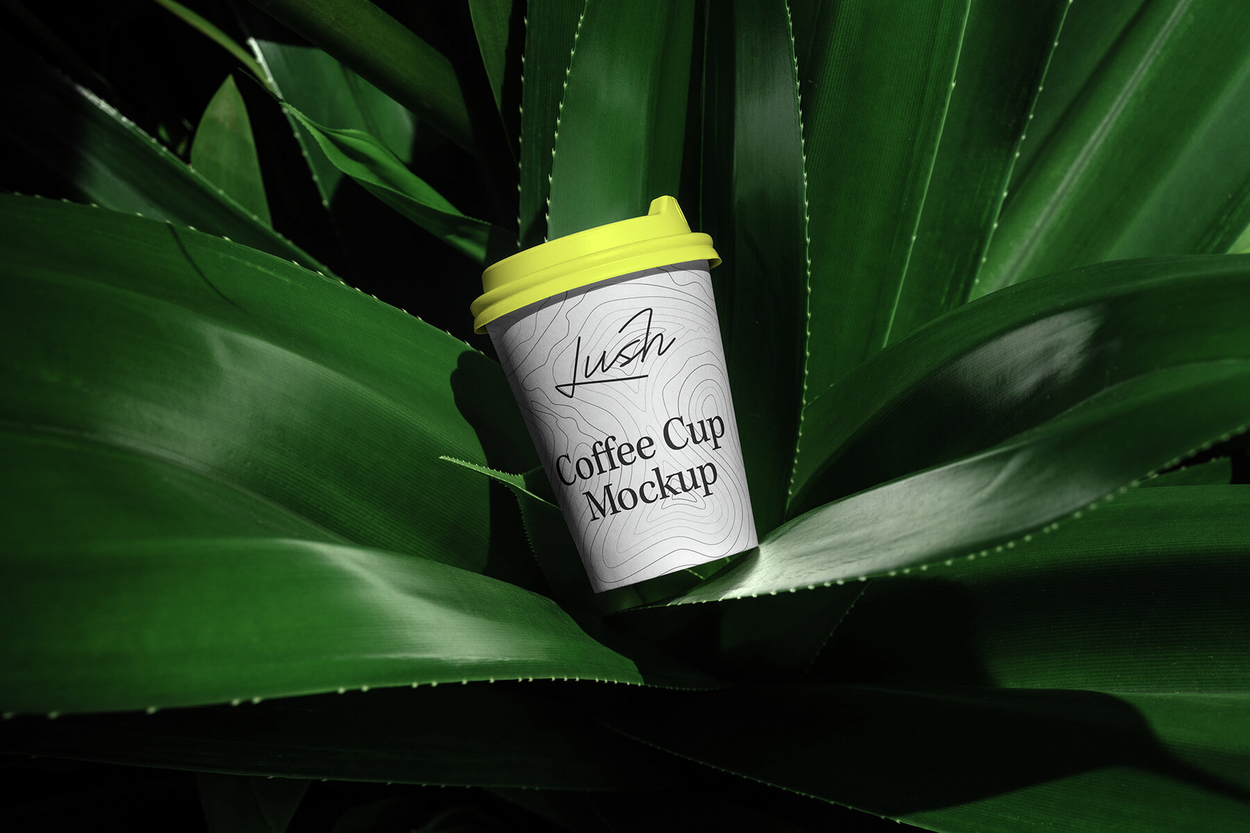 Branding Mockups Lush Series 02 8