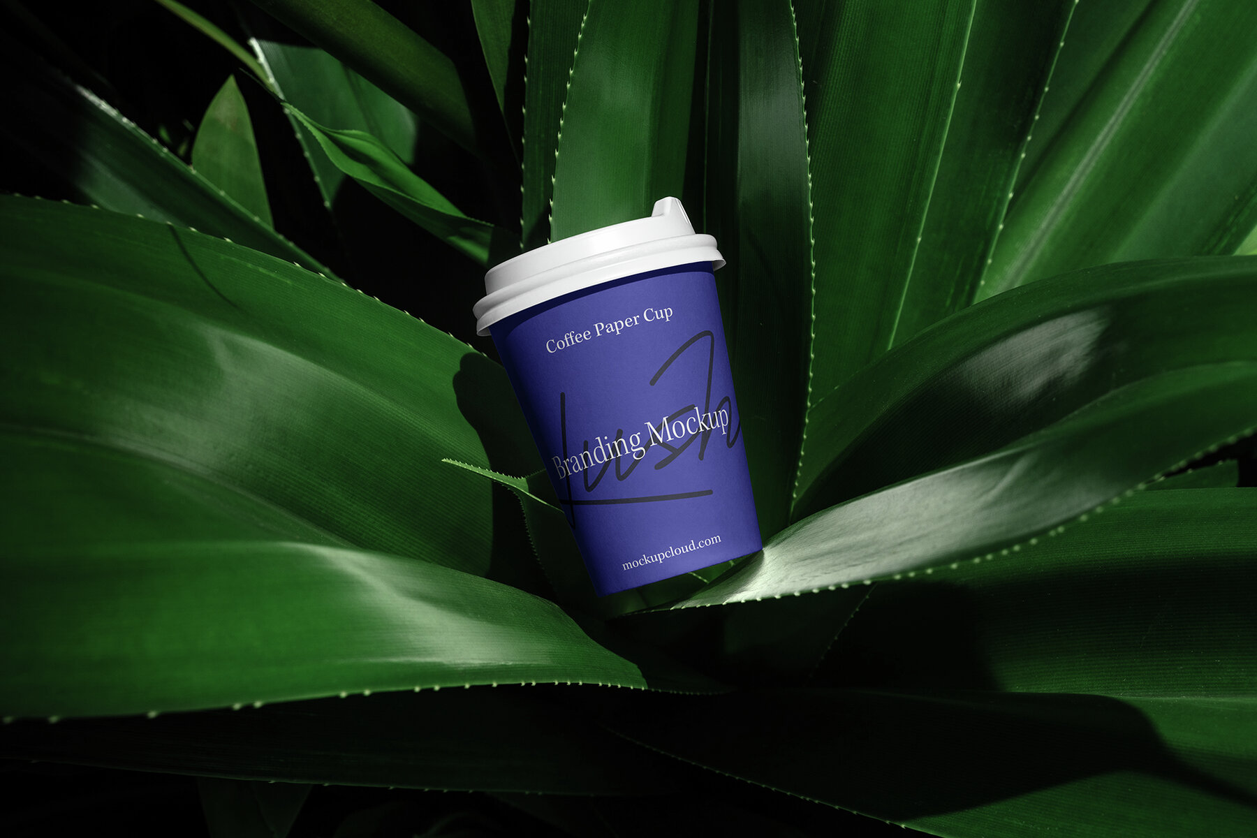 Branding Mockups Lush Series 02 9