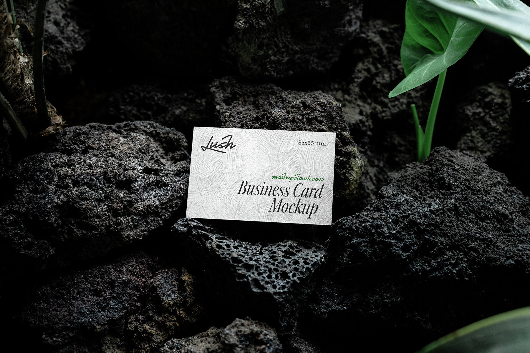 Branding Mockups Lush Series 03 2