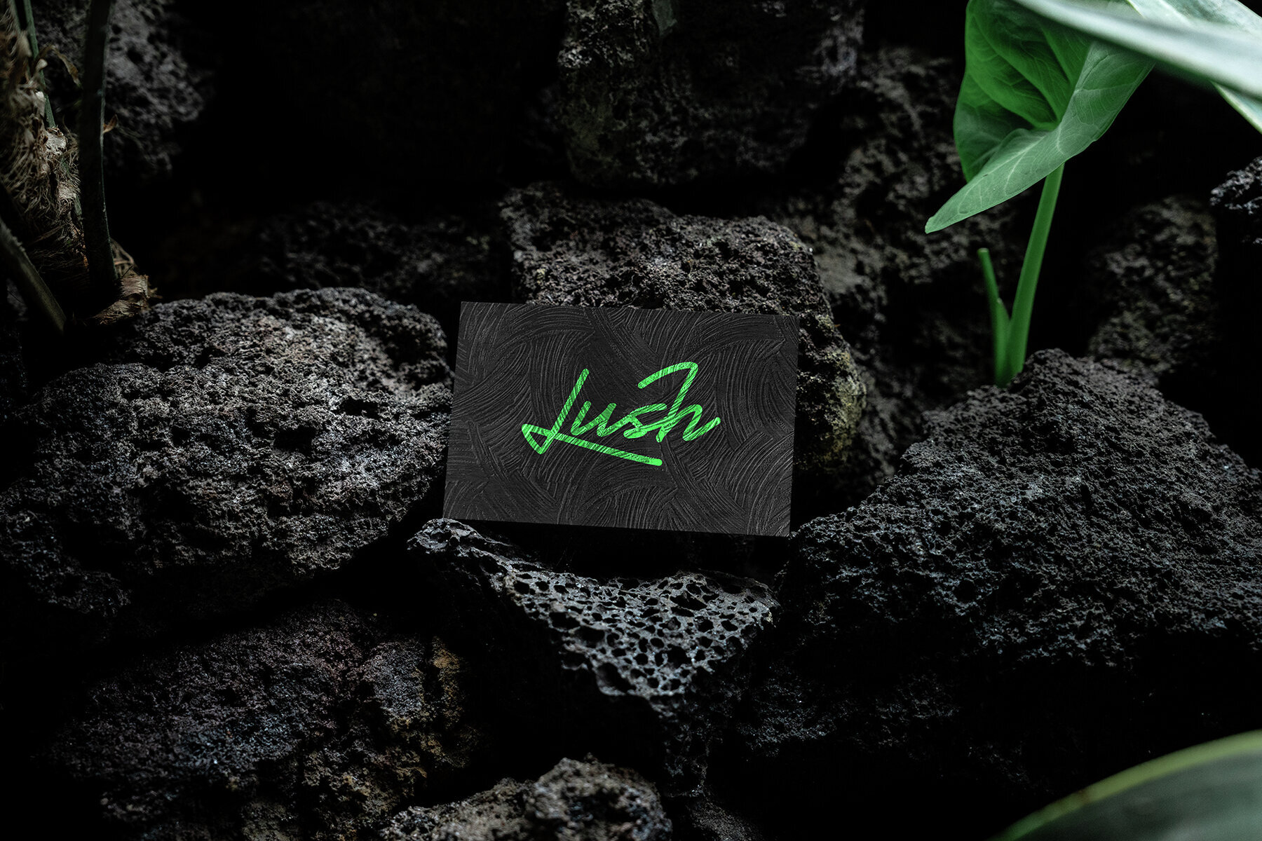 Branding Mockups Lush Series 03 3