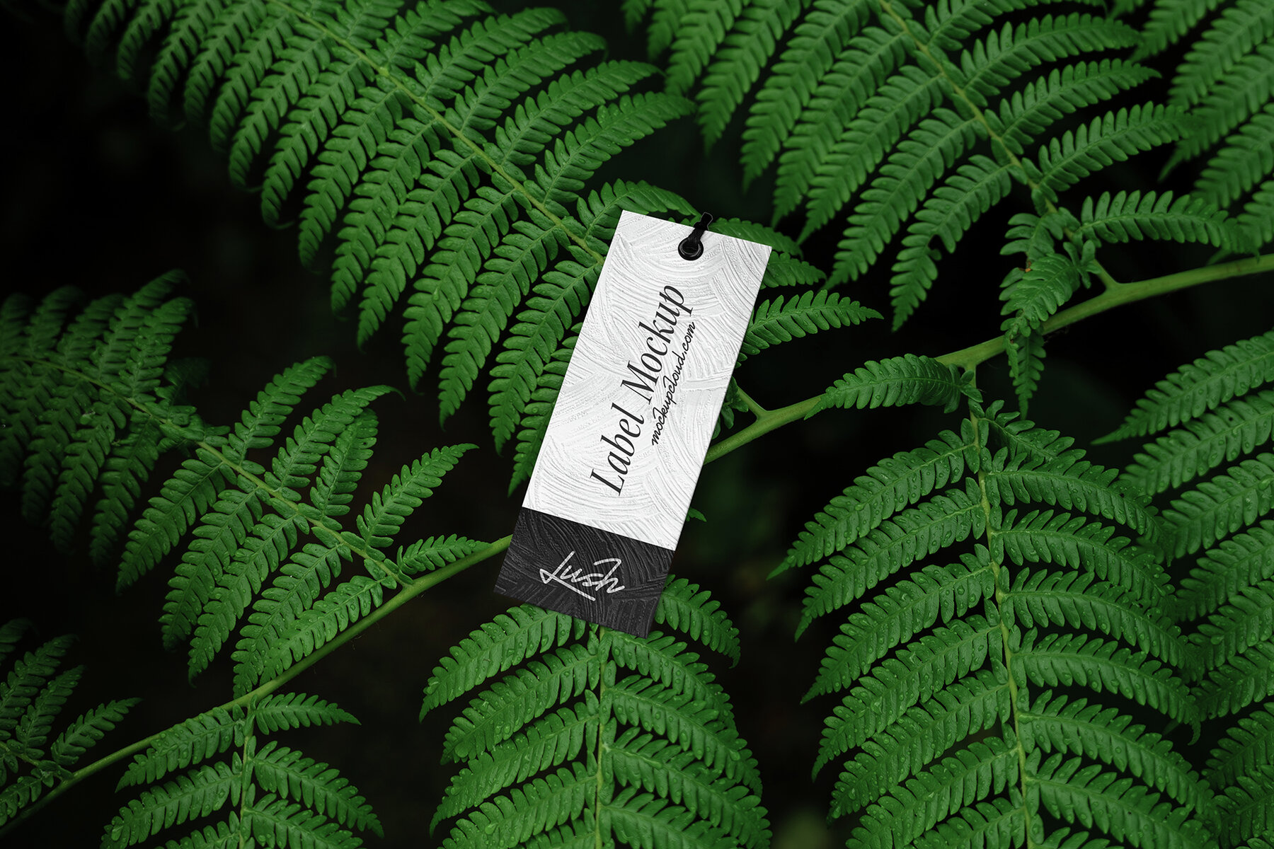 Branding Mockups Lush Series 03 8