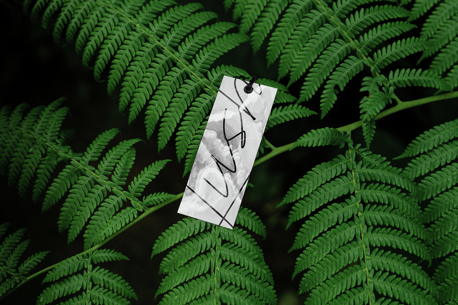 Branding Mockups Lush Series 03 9