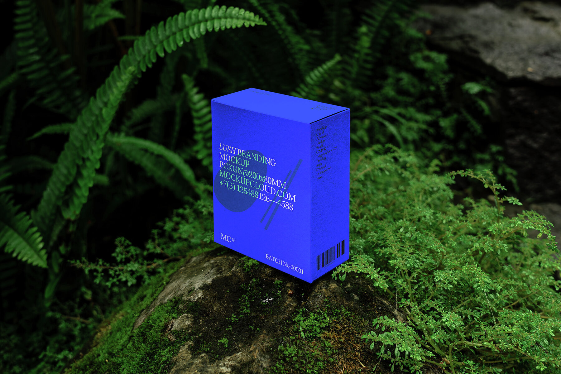 Branding Mockups Lush Series 04 2