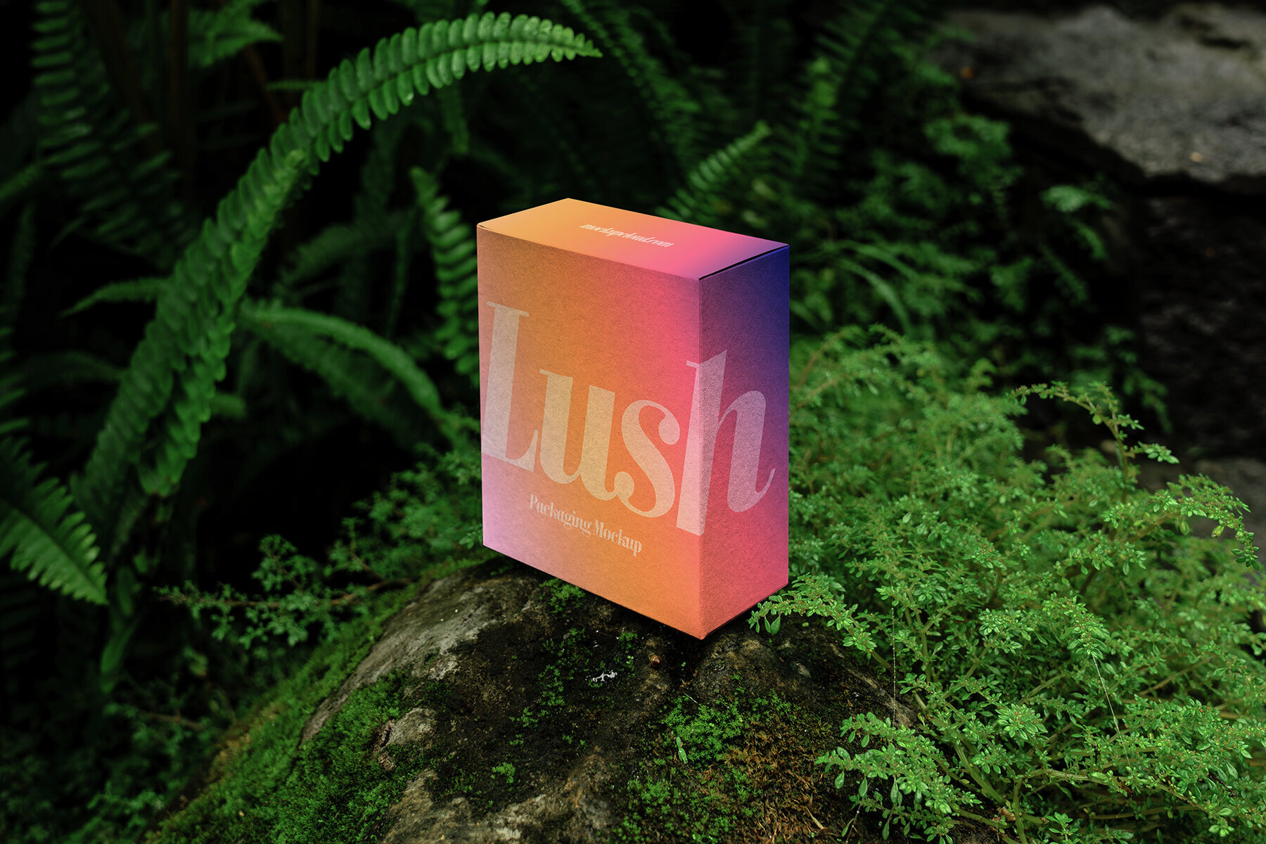 Branding Mockups Lush Series 04 3