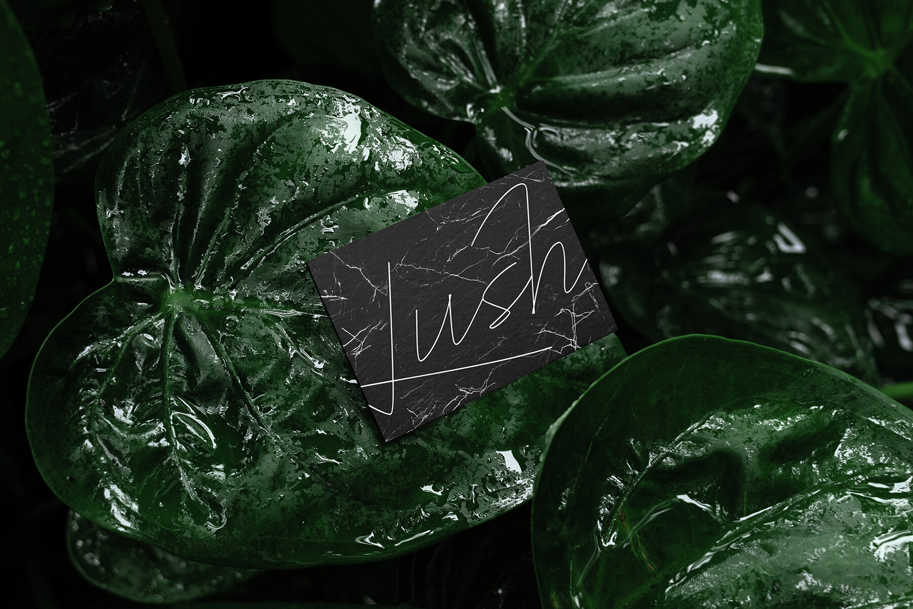 Branding Mockups Lush Series 04 4