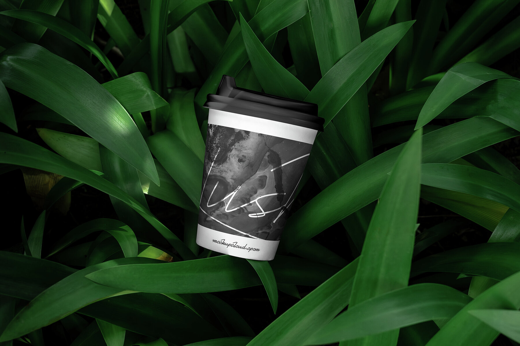 Branding Mockups Lush Series 04 6