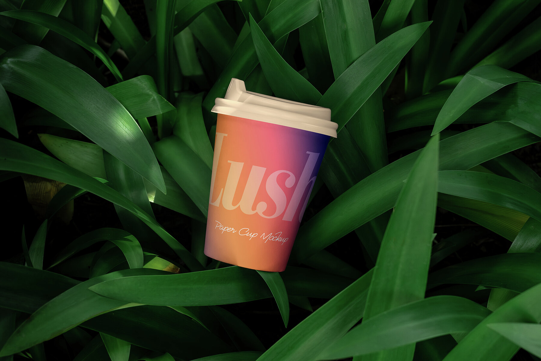 Branding Mockups Lush Series 04 7
