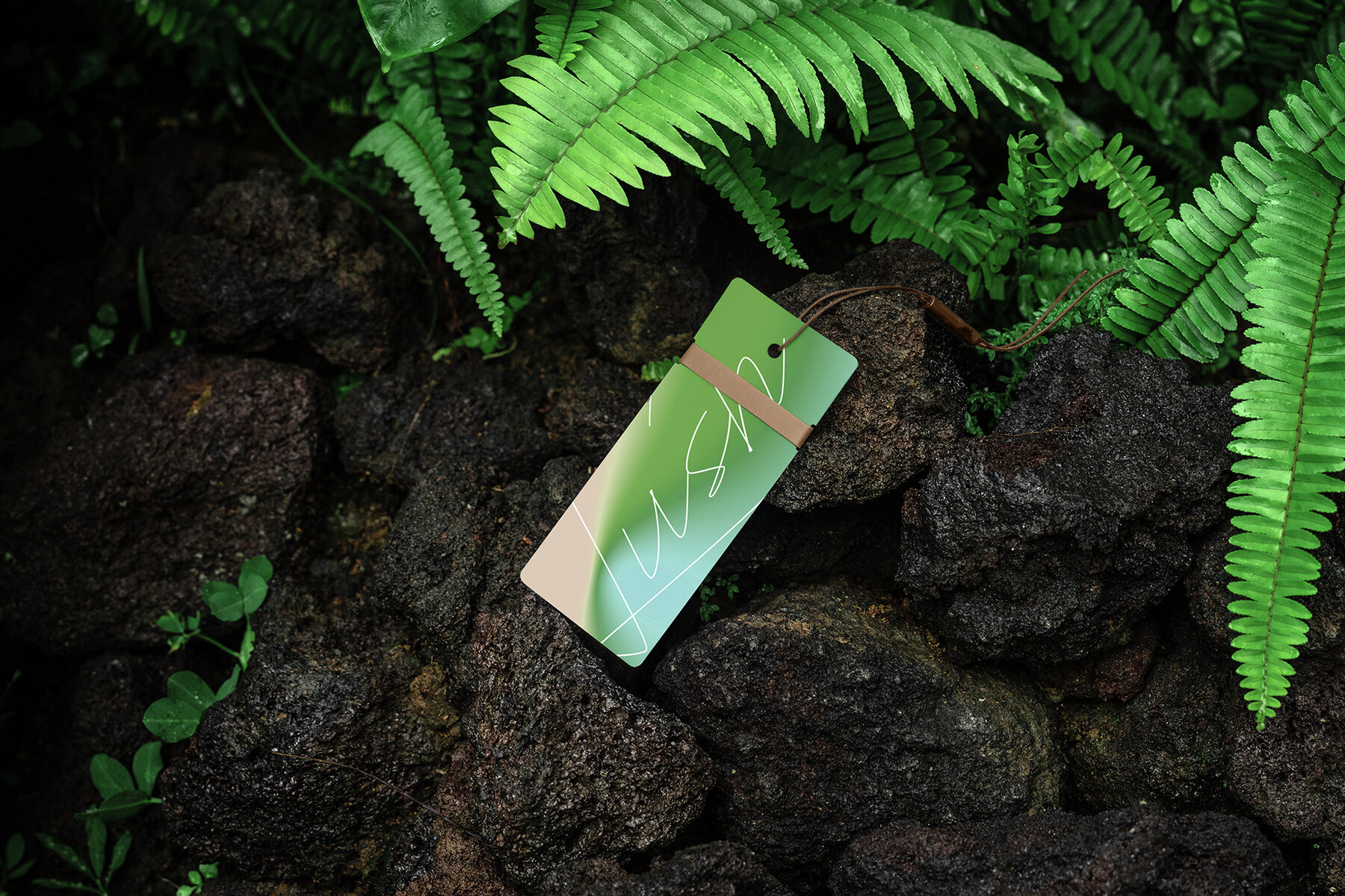 Branding Mockups Lush Series 04 10