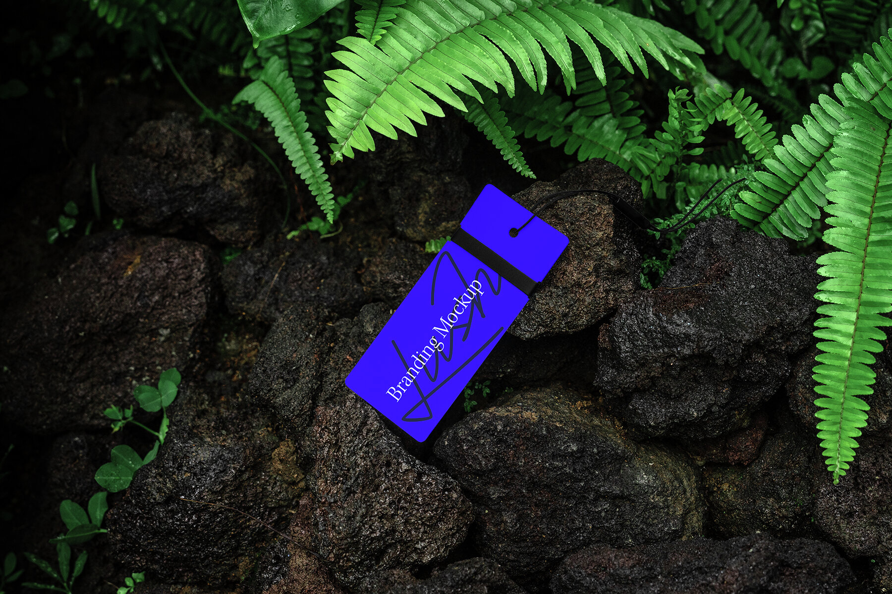 Branding Mockups Lush Series 04 11