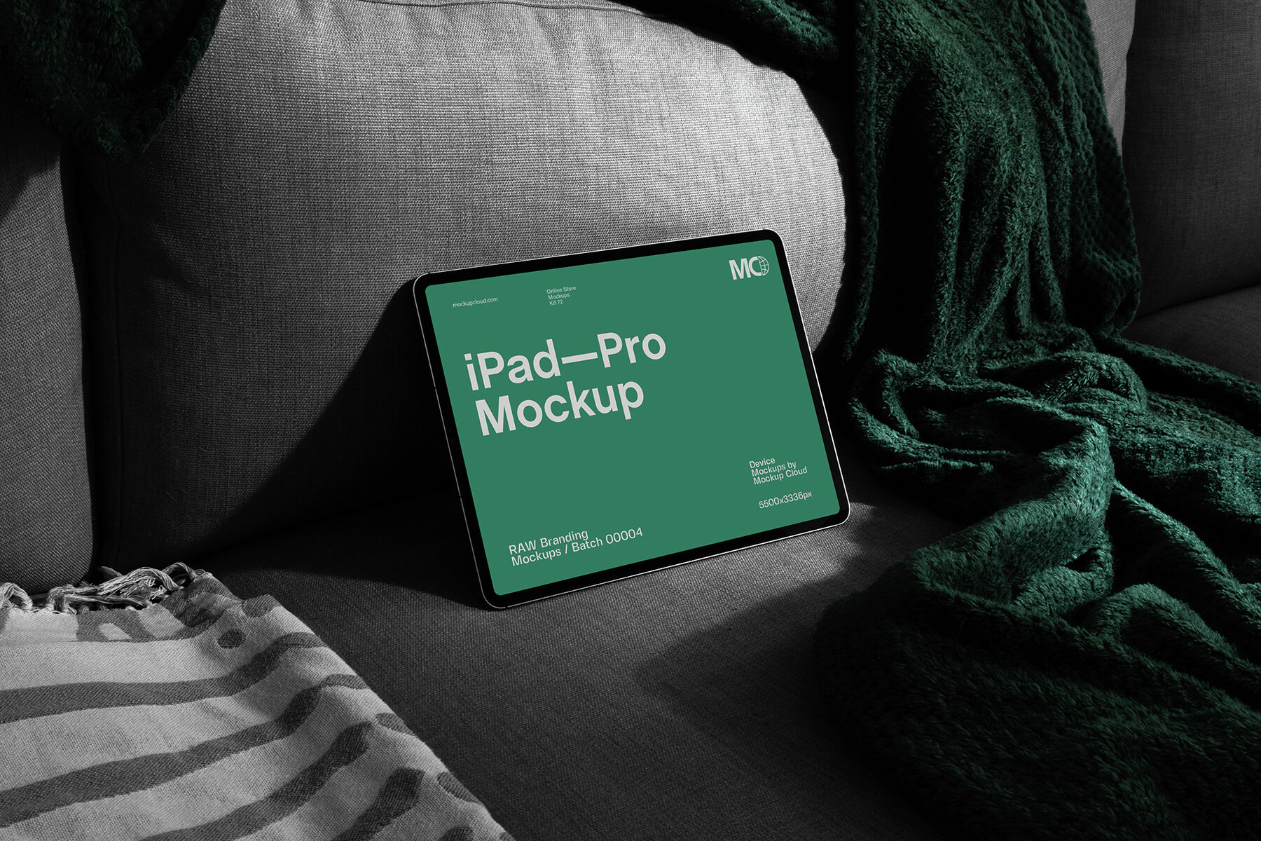 iPad Pro Mockups   RAW Series 5