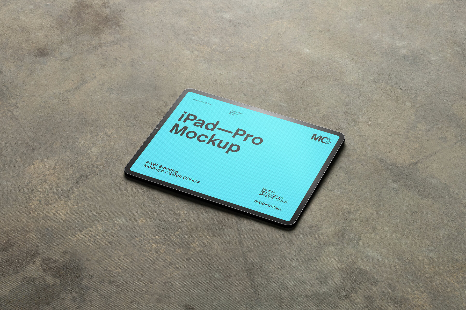 iPad Pro Mockups   RAW Series 7