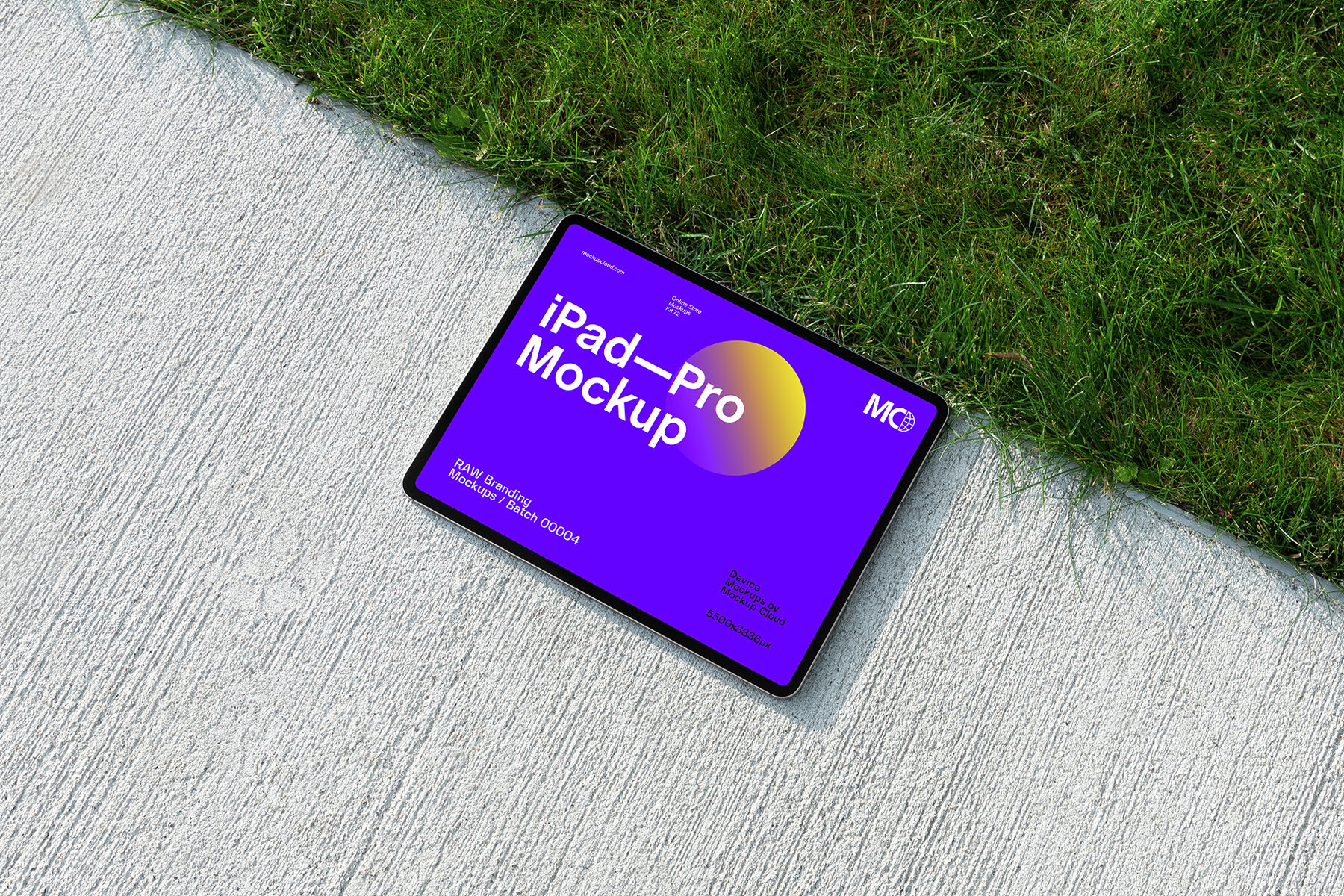 iPad Pro Mockups   RAW Series 15