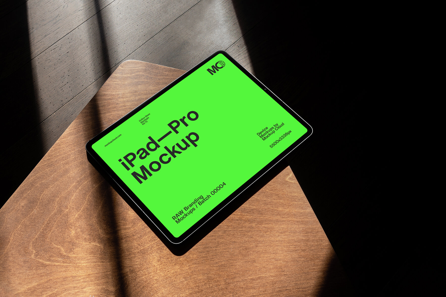iPad Pro Mockups   RAW Series 17