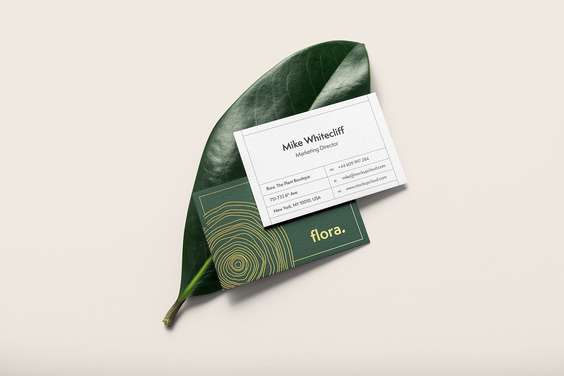Flora Branding Mockups Kit v 2 9