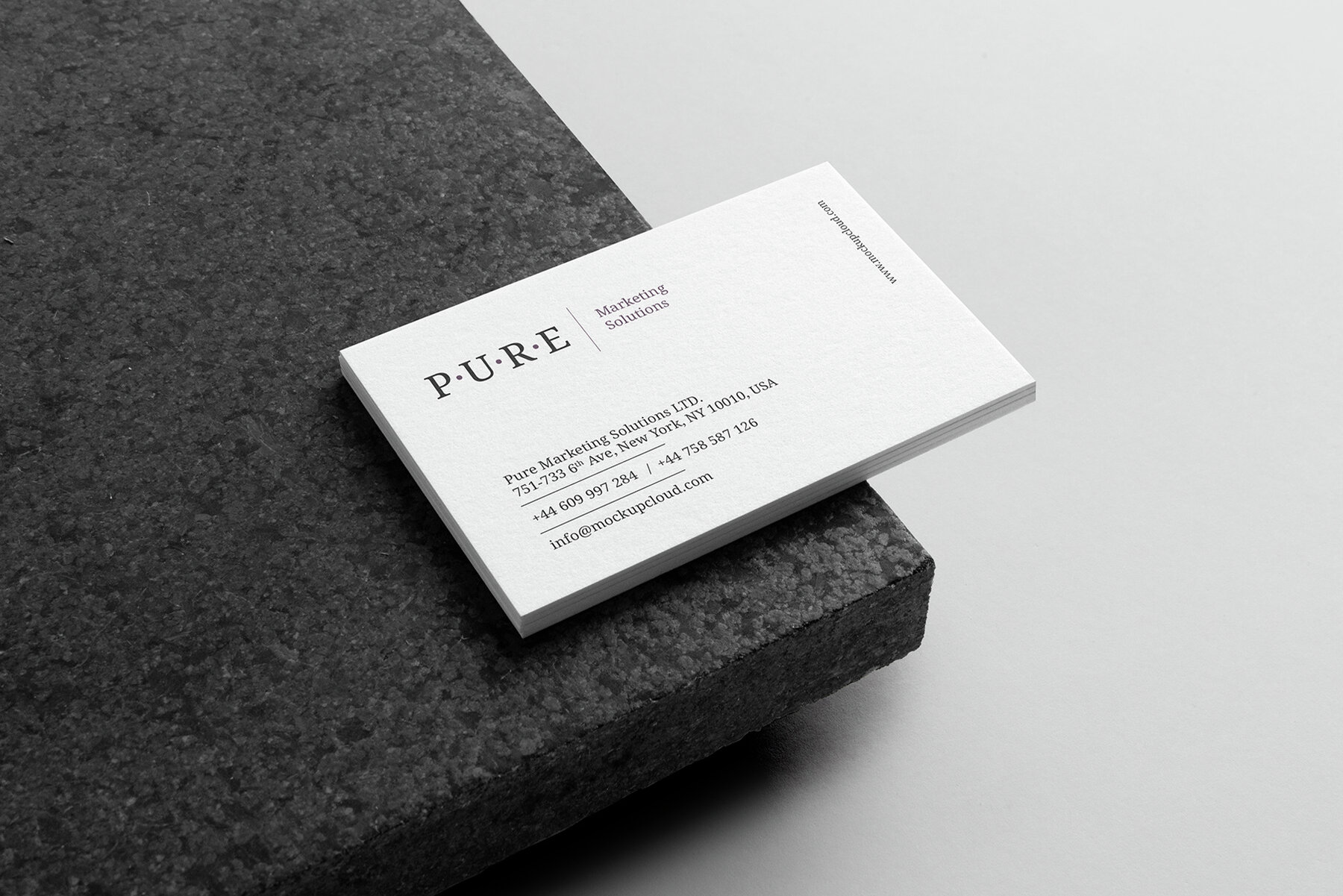 Pure Branding Mockups Kit Vol 1 6