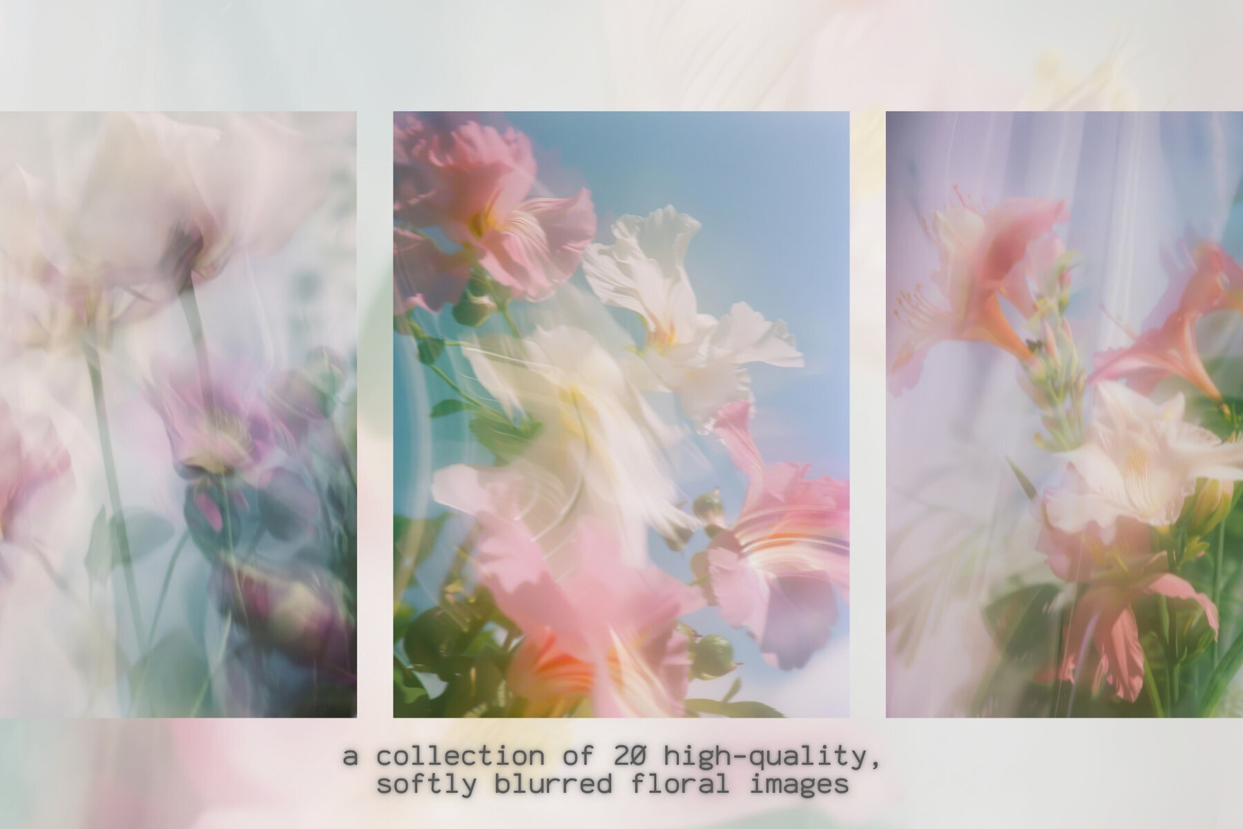 20 Soft Blurred Florals Backgrounds 2