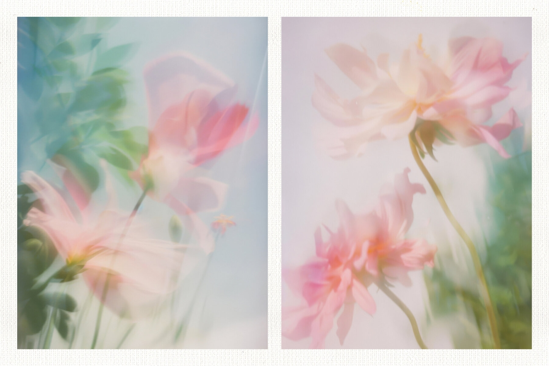 20 Soft Blurred Florals Backgrounds 3