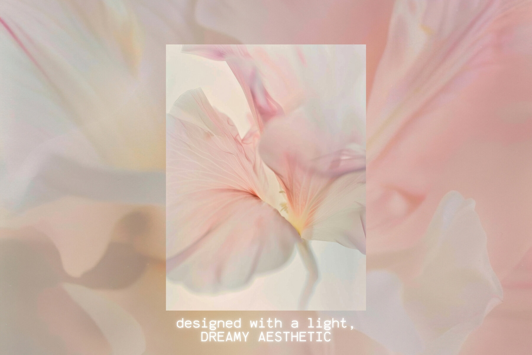 20 Soft Blurred Florals Backgrounds 4