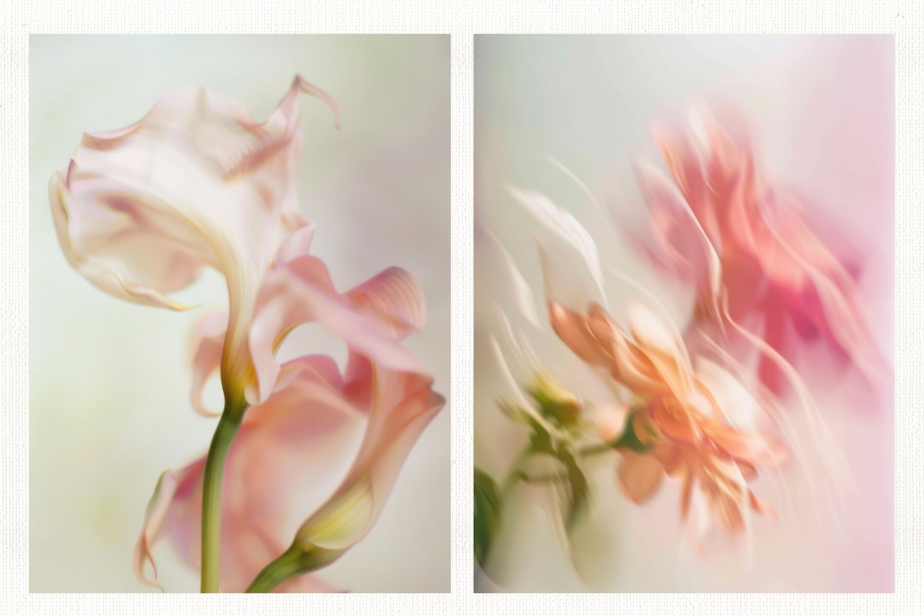 20 Soft Blurred Florals Backgrounds 5