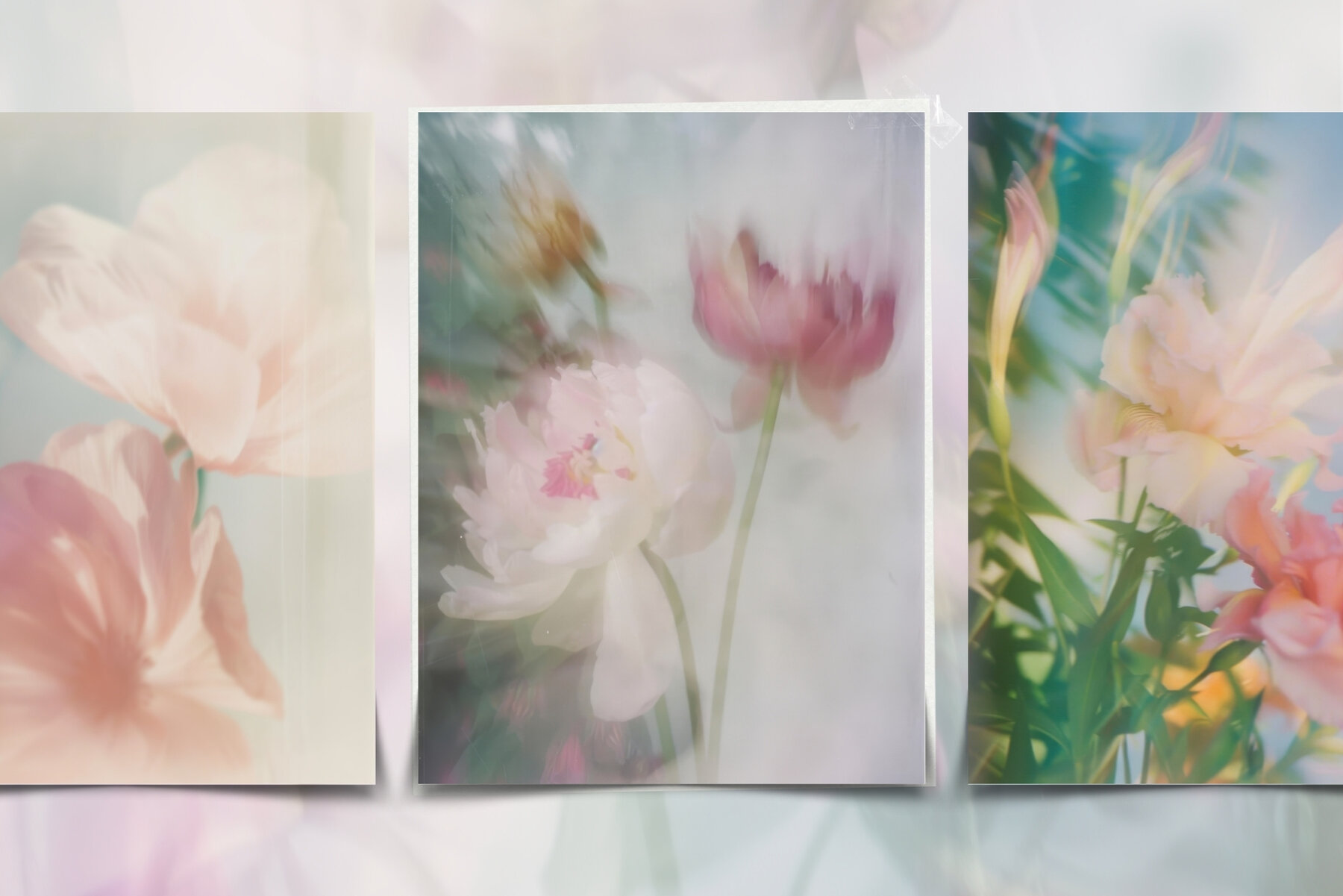 20 Soft Blurred Florals Backgrounds 7