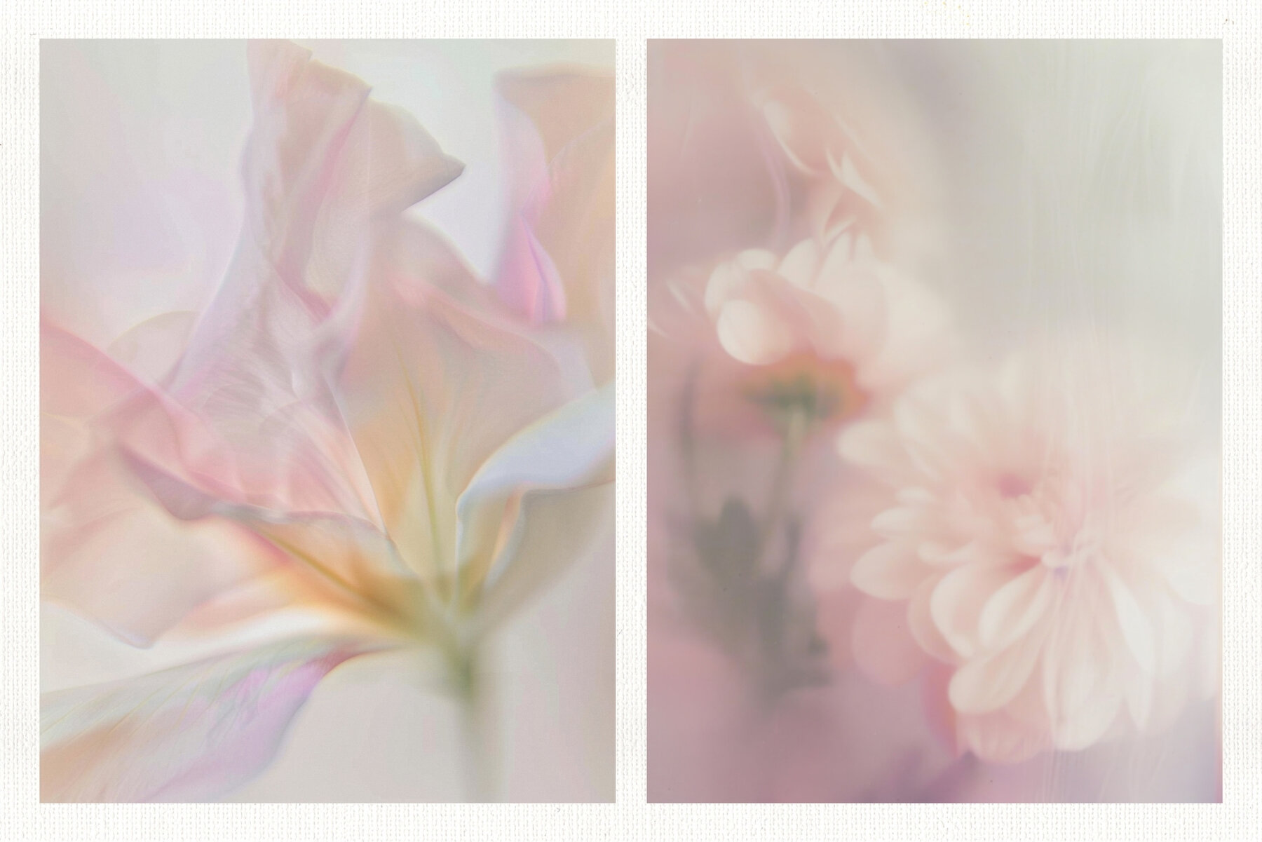 20 Soft Blurred Florals Backgrounds 8