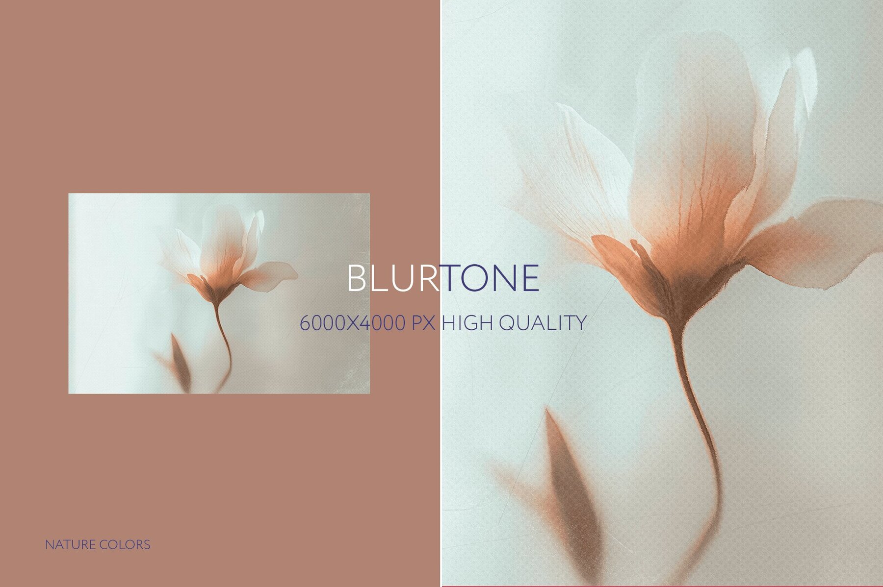 Floral BLURTONE Abstract Backgrounds 6
