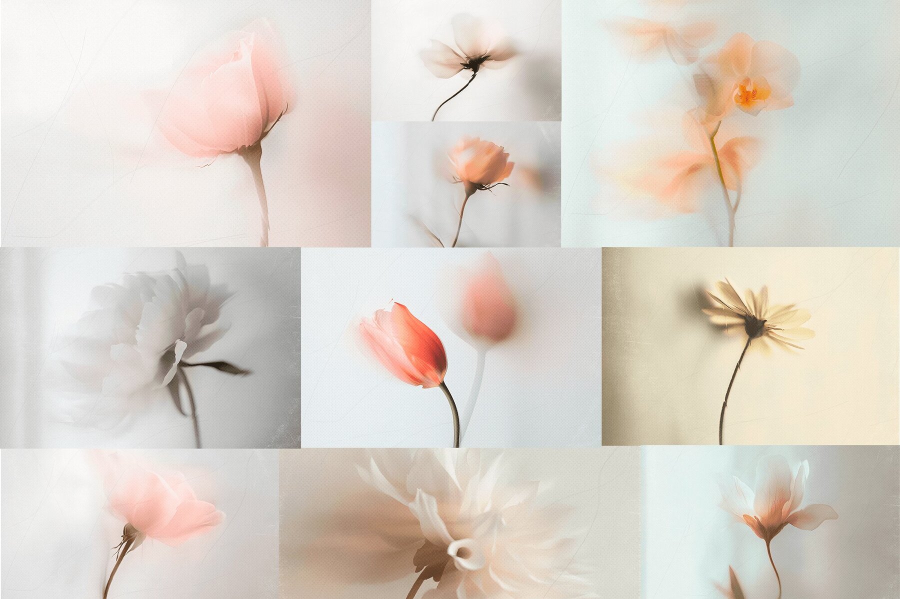 Floral BLURTONE Abstract Backgrounds 8