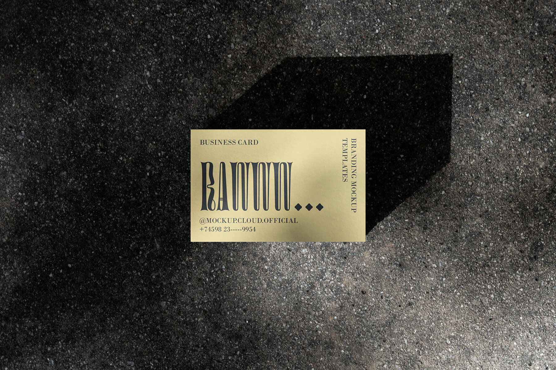 Business Cards Mockups Kit Raw Series 17