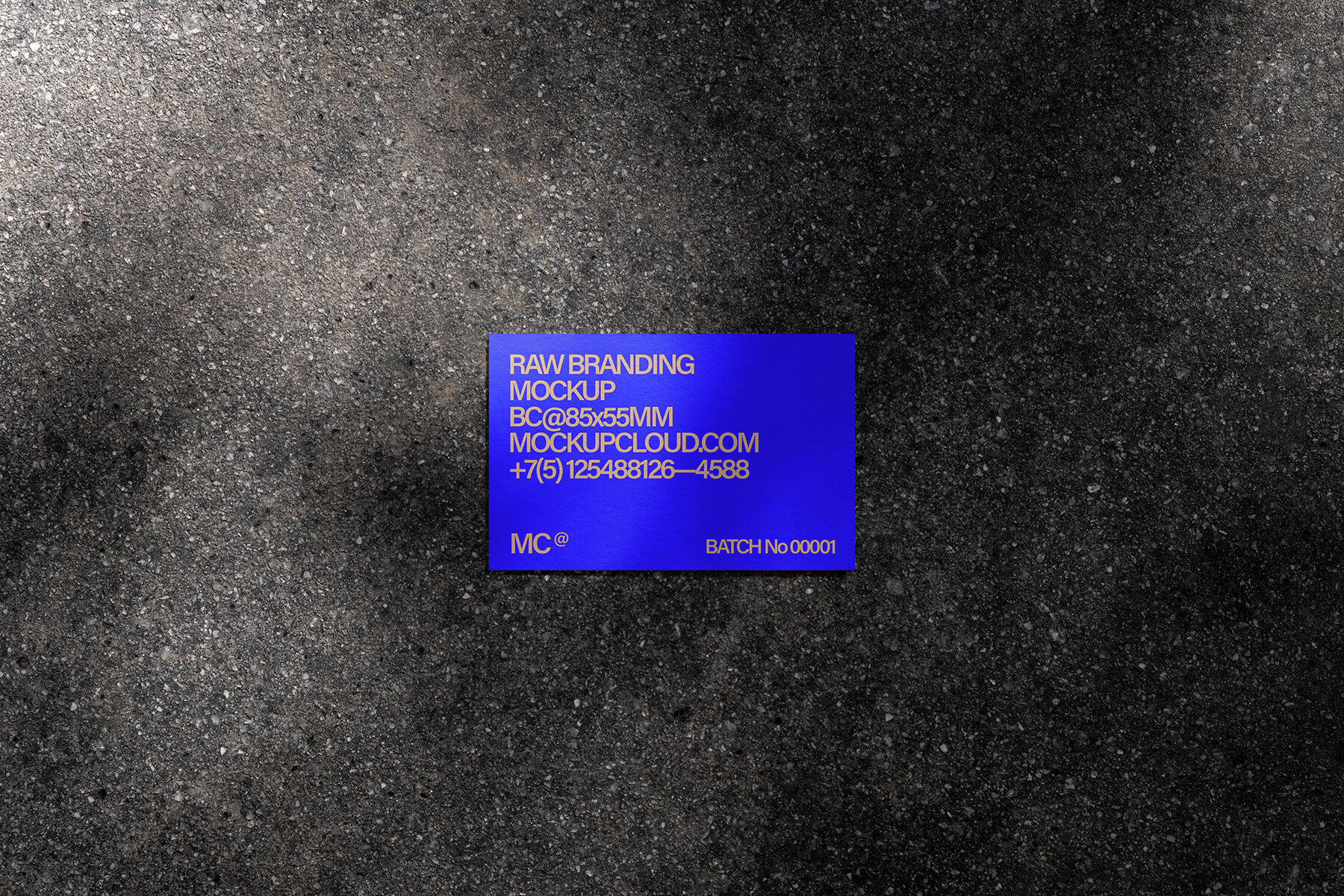 Business Cards Mockups Kit Raw Series 19