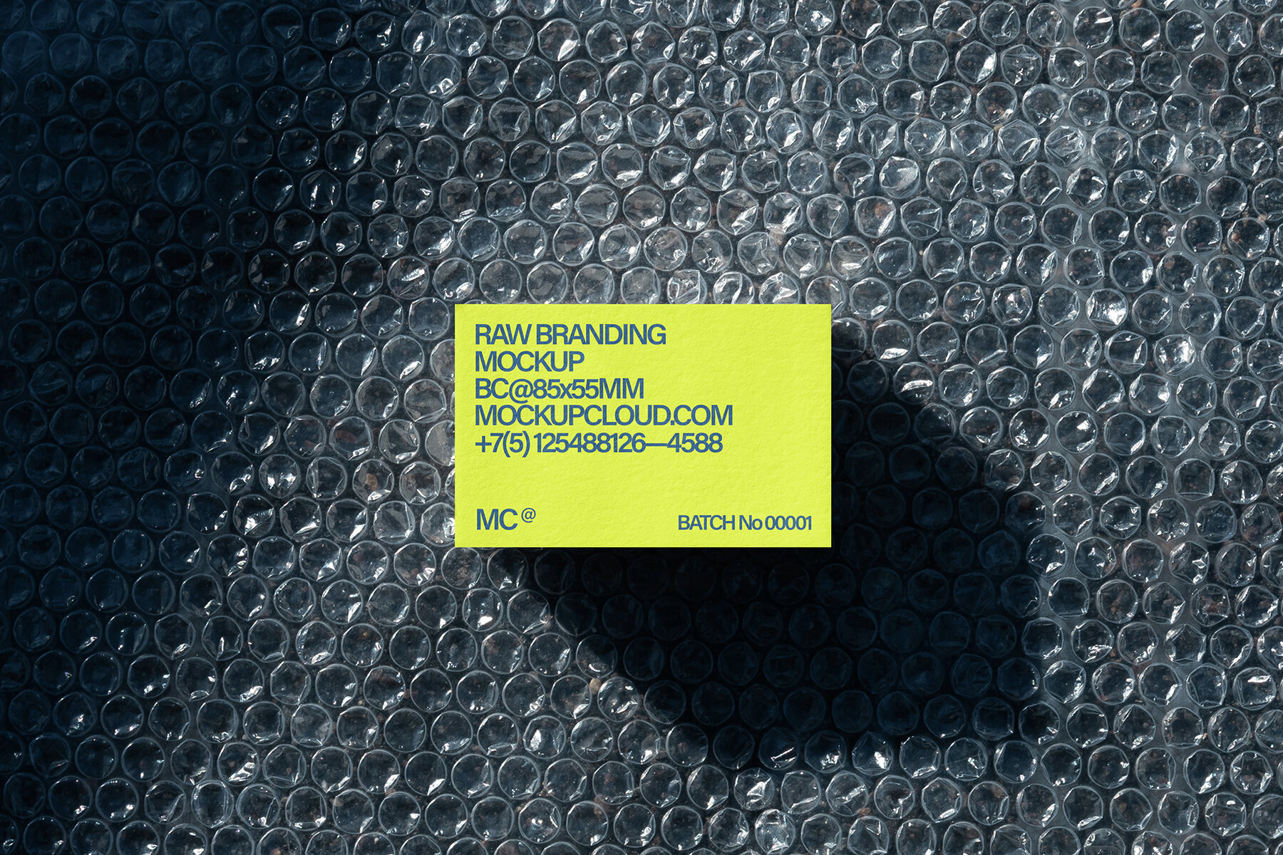 Business Cards Mockups Kit Raw Series 22